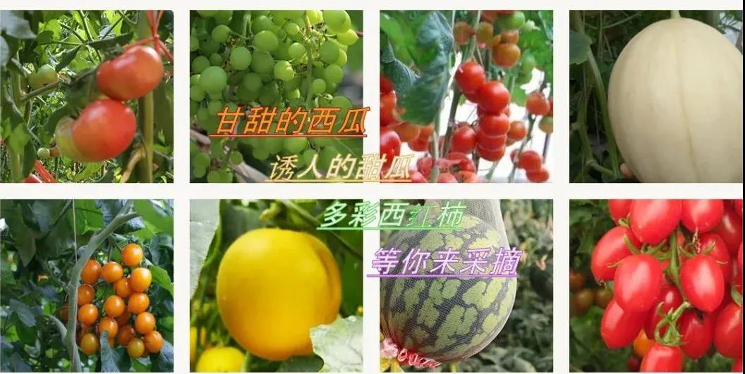 微信图片_20211115102845.jpg